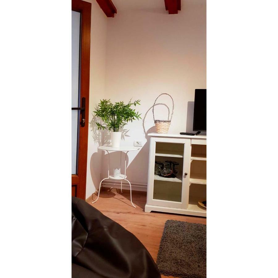 Vaso Apartament Sinaia Dış mekan fotoğraf