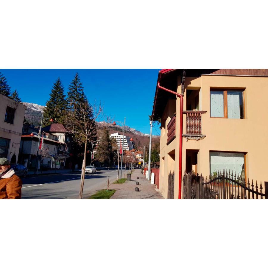 Vaso Apartament Sinaia Dış mekan fotoğraf
