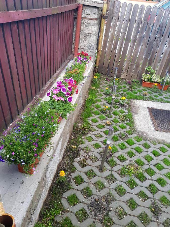 Vaso Apartament Sinaia Dış mekan fotoğraf